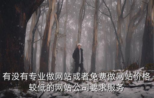 有沒有專業做網站或者免費做網站價格較低的網站公司要求服務