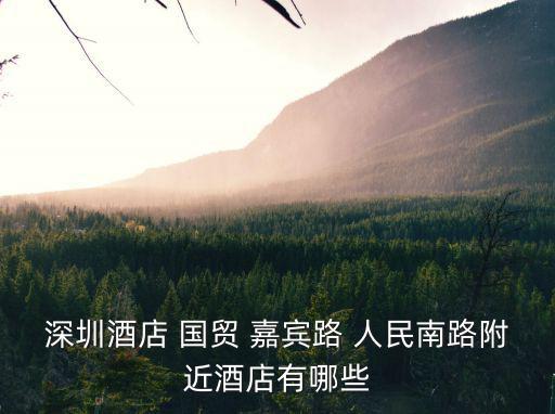 深圳酒店 國(guó)貿(mào) 嘉賓路 人民南路附近酒店有哪些