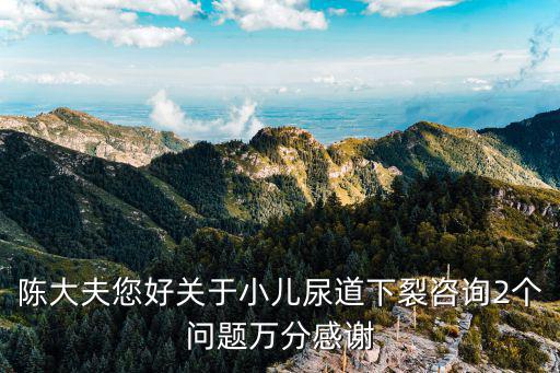 上海市兒童醫(yī)院張泓，陳大夫您好關(guān)于小兒尿道下裂咨詢2個問題萬分感謝
