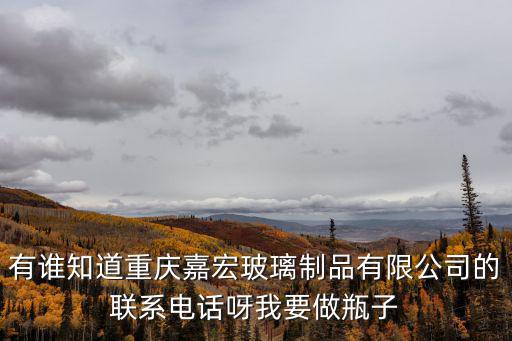 有誰知道重慶嘉宏玻璃制品有限公司的聯(lián)系電話呀我要做瓶子