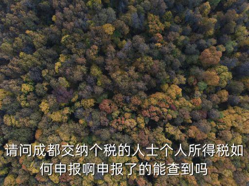 請(qǐng)問(wèn)成都交納個(gè)稅的人士個(gè)人所得稅如何申報(bào)啊申報(bào)了的能查到嗎