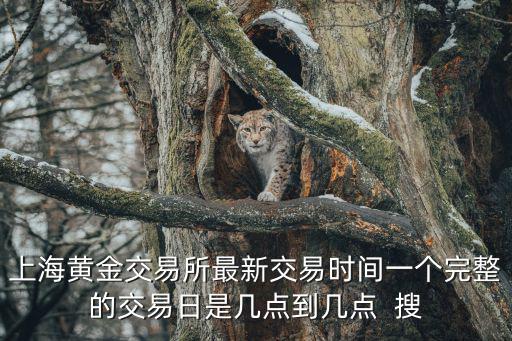 深圳農(nóng)行領(lǐng)導(dǎo)，榮格直銷獎金制度好嗎