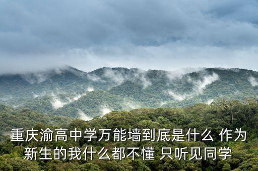 重慶渝高中學(xué)萬能墻到底是什么 作為新生的我什么都不懂 只聽見同學(xué)