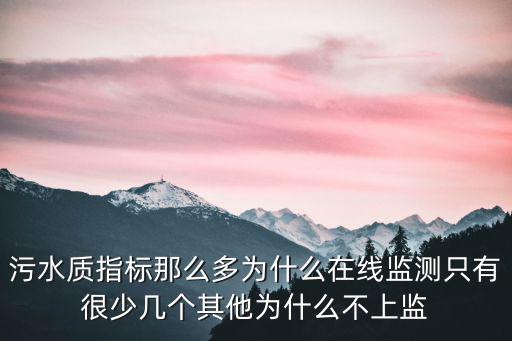 污水質(zhì)指標(biāo)那么多為什么在線(xiàn)監(jiān)測(cè)只有很少幾個(gè)其他為什么不上監(jiān)