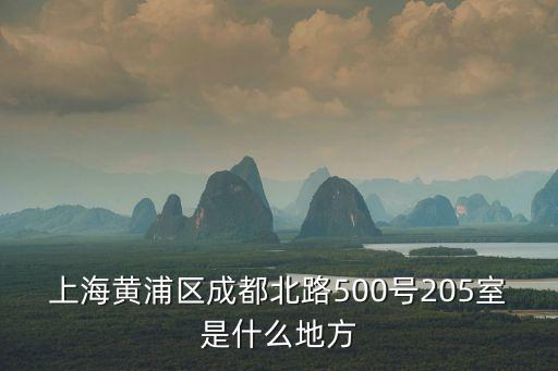 上海黃浦區成都北路500號205室是什么地方