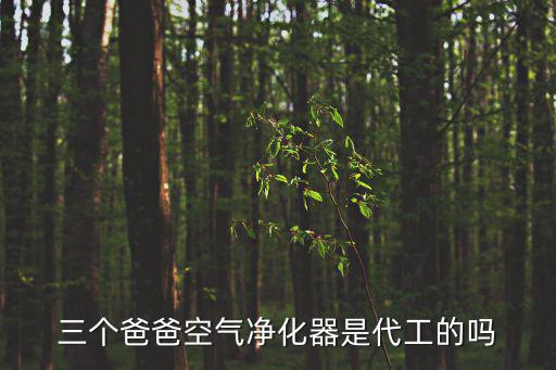 三個爸爸空氣凈化器是代工的嗎