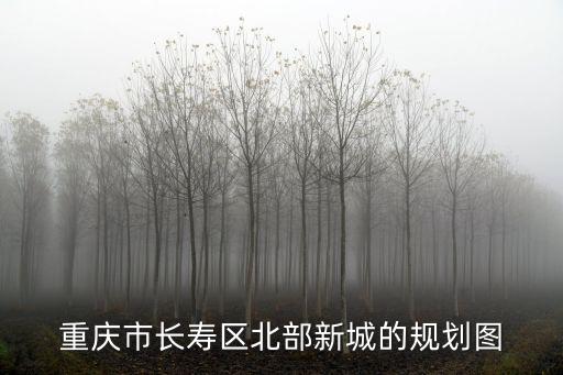 重慶市長壽區土地規劃，重慶市長壽區北部新城的規劃圖