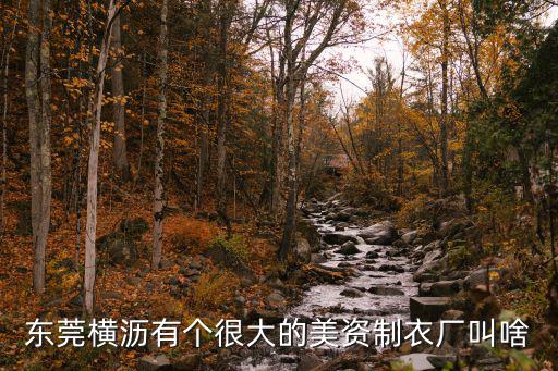 東莞橫瀝有個很大的美資制衣廠叫啥