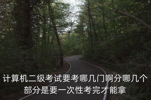 成都市計算機二級要考幾門，計算機二級考試要考哪幾門啊分哪幾個部分是要一次性考完才能拿