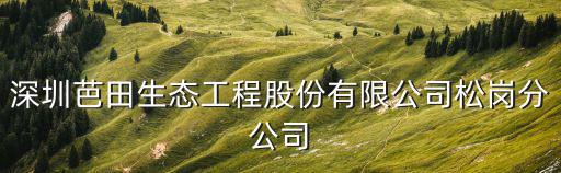 深圳芭田生態(tài)工程股份有限公司松崗分公司