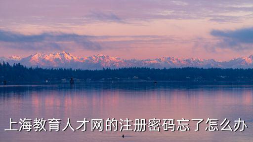 上海教育人才網的注冊密碼忘了怎么辦