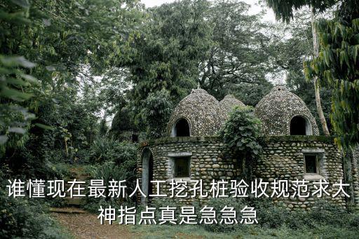 誰懂現(xiàn)在最新人工挖孔樁驗收規(guī)范求大神指點真是急急急