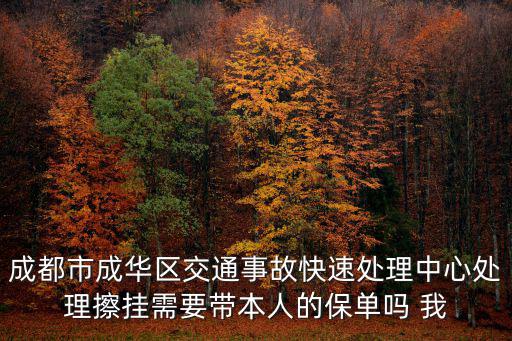 成都市成華區(qū)交通事故快速處理中心處理擦掛需要帶本人的保單嗎 我