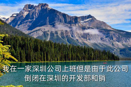我在一家深圳公司上班但是由于此公司倒閉在深圳的開發(fā)部和銷