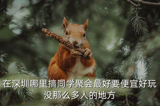 在深圳哪里搞同學(xué)聚會(huì)最好要便宜好玩沒(méi)那么多人的地方