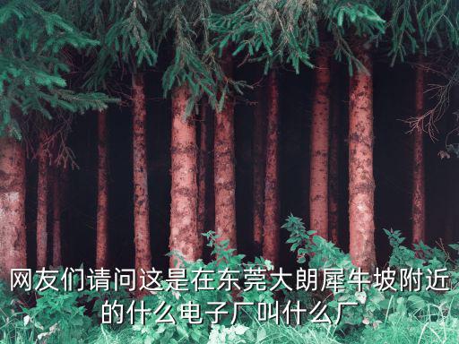 網(wǎng)友們請(qǐng)問這是在東莞大朗犀牛坡附近的什么電子廠叫什么廠