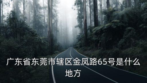 廣東省東莞市轄區(qū)金鳳路65號(hào)是什么地方