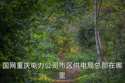 國網重慶電力公司市區供電局總部在哪里