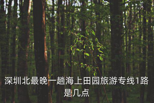 深圳北最晚一趟海上田園旅游專線1路是幾點