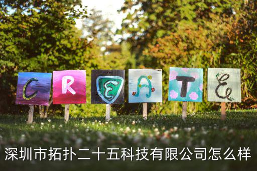 深圳市拓撲二十五科技有限公司怎么樣