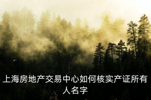 上海房地產(chǎn)交易中心如何核實產(chǎn)證所有人名字