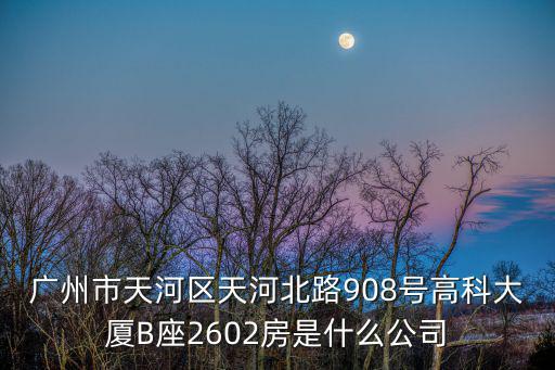 廣州市天河區天河北路908號高科大廈B座2602房是什么公司