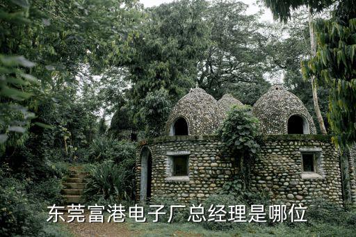 東莞市富克電子有限公司 陳想科，東莞富港電子廠總經(jīng)理是哪位