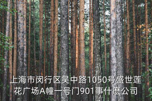 上海市閔行區吳中路1050號盛世蓮花廣場A幢一號門901事什麼公司