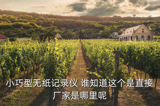小巧型無(wú)紙記錄儀 誰(shuí)知道這個(gè)是直接廠家是哪里呢