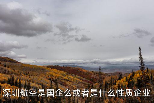 深圳航空是國企么或者是什么性質(zhì)企業(yè)
