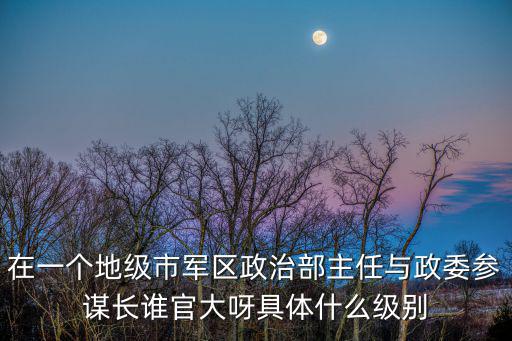重慶市軍區政委，軍區政委的公務員的職責是什么