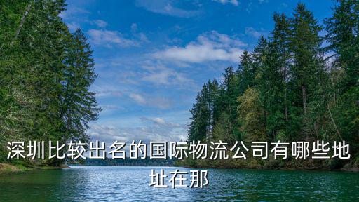 深圳國際物流，深圳比較出名的國際物流公司有哪些地址在那