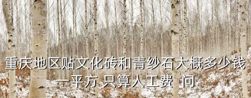 重慶地區貼文化磚和青紗石大概多少錢一平方 只算人工費  問