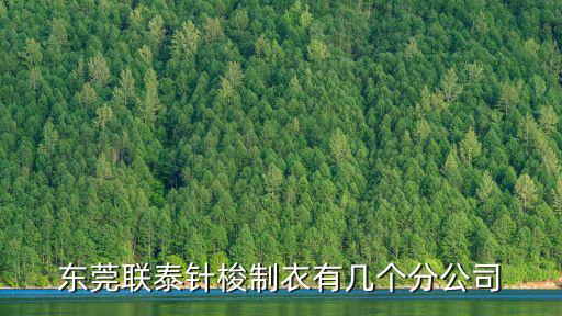 東莞聯泰針梭制衣有幾個分公司