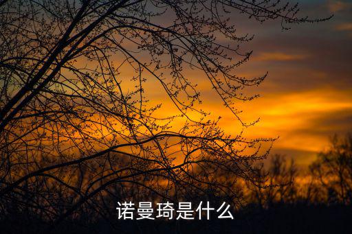諾曼琦是什么