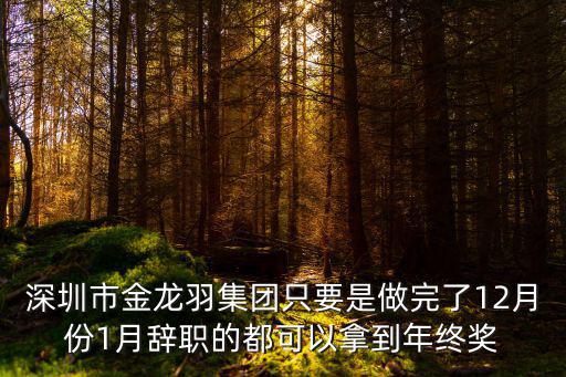 深圳市金龍羽集團(tuán)只要是做完了12月份1月辭職的都可以拿到年終獎(jiǎng)