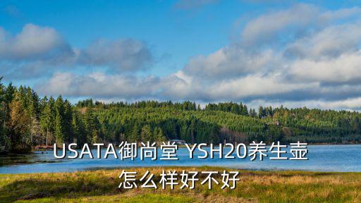 USATA御尚堂 YSH20養生壺怎么樣好不好