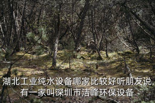 湖北工業純水設備哪家比較好聽朋友說有一家叫深圳市潔峰環保設備