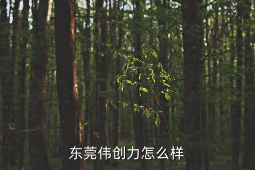 東莞偉創(chuàng)力電子科技，東莞偉創(chuàng)力怎么樣