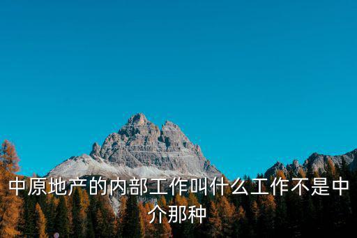 中原地產的內部工作叫什么工作不是中介那種