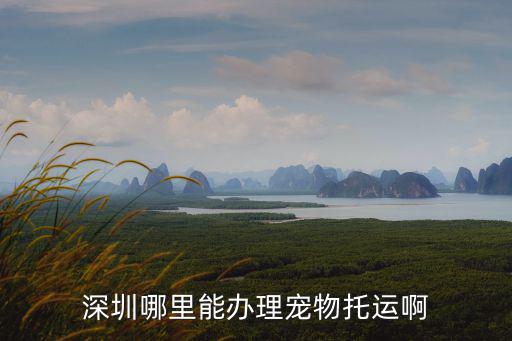 深圳寵物托管，深圳哪里能辦理寵物托運啊
