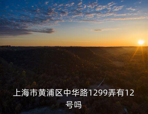 上海市黃浦區中華路1299弄有12號嗎
