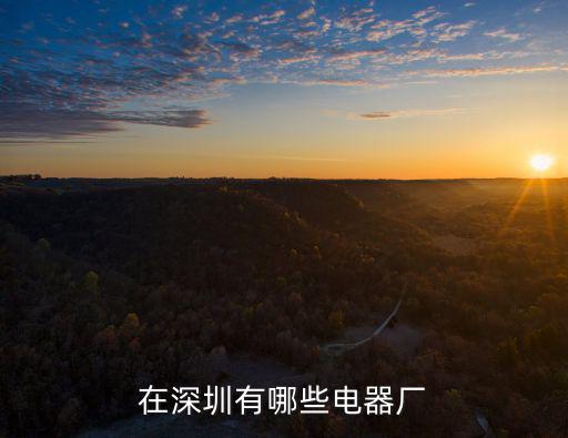 在深圳有哪些電器廠