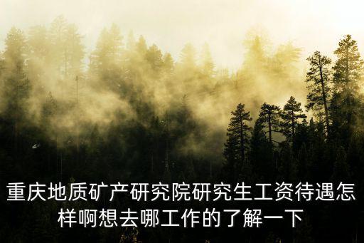 重慶地質(zhì)礦產(chǎn)研究院研究生工資待遇怎樣啊想去哪工作的了解一下