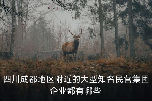 四川成都地區(qū)附近的大型知名民營集團企業(yè)都有哪些