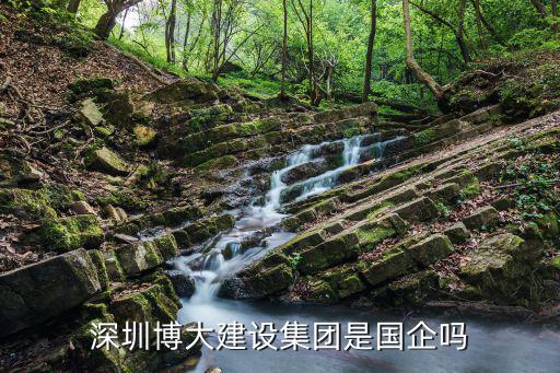 深圳博大建設集團是國企嗎