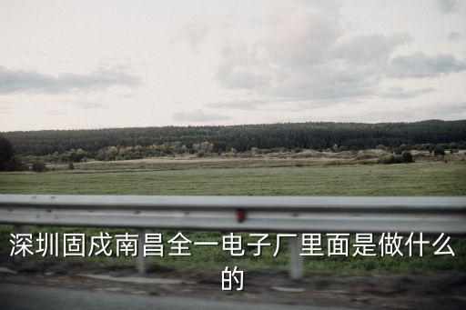 深圳固戍南昌全一電子廠里面是做什么的