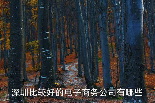 深圳比較好的電子商務公司有哪些