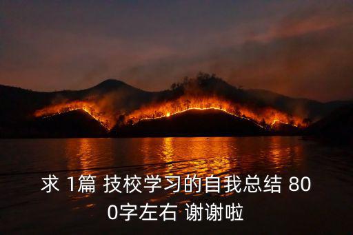 成都市技工校個(gè)人總結(jié)，求 1篇 技校學(xué)習(xí)的自我總結(jié) 800字左右 謝謝啦