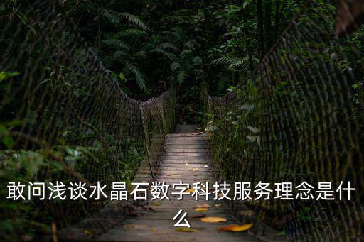 深圳市水晶石數字科技有限公司，敢問淺談水晶石數字科技服務理念是什么